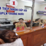 Breaking News: Essential Driver’s License Updates Everyone Must Know