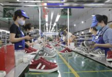 Hanoi People’s Committee Divests from Nearly 70-Year-Old Enterprise