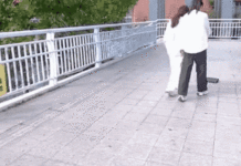 Stunning Discovery: Half a Kilogram of Gold Worth $60,000 Found on the Street During a Casual Outing