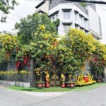 Why Đàm Vĩnh Sold His Hundred-Billion-Dong, Dual-Frontage Villa in Ho Chi Minh City