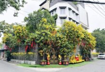 Why Đàm Vĩnh Sold His Hundred-Billion-Dong, Dual-Frontage Villa in Ho Chi Minh City