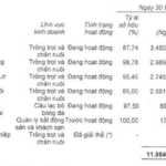 Bầu Đức’s New Venture: Unveiling the Next Big Game