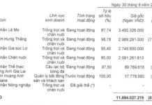 Bầu Đức’s New Venture: Unveiling the Next Big Game