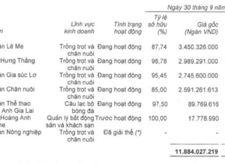 Bầu Đức’s New Venture: Unveiling the Next Big Game