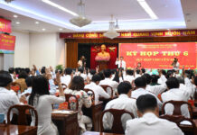 Three Bridges Connecting Dong Nai and Ho Chi Minh City with an Investment of Over 40,000 Billion VND