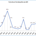 HGM Announces Additional Cash Dividend of VND 8,500 per Share