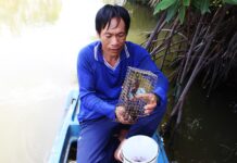 Premium Cà Mau Fish Sauce: Three Salt Varieties Priced at 250,000 VND/kg