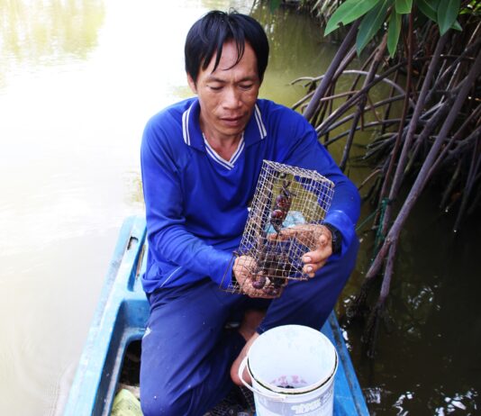 Premium CÃ Mau Fish Sauce: Three Salt Varieties Priced at 250,000 VND/kg