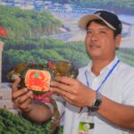 Cà Mau’s Crab Festival Looms: Sea Crab Prices Surge Ahead of Celebrations