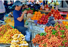 Which Goods Are Exempt from Invoicing Requirements After the Abolition of Lump-Sum Tax?