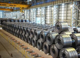 Hòa Phát: The Sole Manufacturer in Vietnam’s Top 10 Largest Enterprises