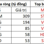Foreign Investors Continue Net Selling Streak, Offloading Nearly 700 Billion VND in Session 14/11, with Heavy Focus on a Banking Stock