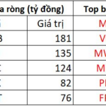 Foreign Investors Surprise the Market with a Buying Spree on November 20th, Targeting a Banking Stock After a Prolonged Selling Streak