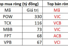 Foreign Investors Splash Over 300 Billion VND to “Snap Up” a Single Stock on November 27th Session