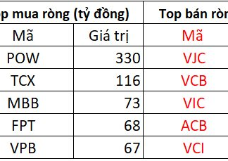 Foreign Investors Splash Over 300 Billion VND to “Snap Up” a Single Stock on November 27th Session
