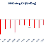 VN-Index Rebounds Unexpectedly Amid Low Liquidity: Is This the Bottom or Just a Bull Trap?