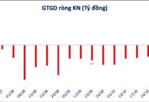 VN-Index Rebounds Unexpectedly Amid Low Liquidity: Is This the Bottom or Just a Bull Trap?
