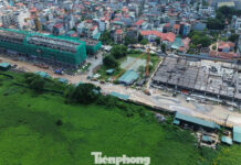 Navigating the NOXH Purchase Process: A Month-Long Wait for Income Verification