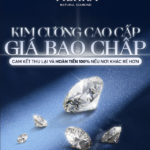 Tierra Diamond Launches “Price Beat Guarantee”: A Game-Changer in Vietnam’s Diamond Pricing