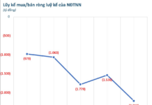 Foreign Block Net Sells Trillions in Week 17-21/11, Countering 1.000 Billion Dong “Buy” of a Bluechip Stock