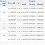 Amid Novaland’s Stock Recovery, Chairman’s Wife Sells 2.3 Million Shares, Pocketing Over VND 23 Billion