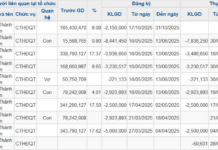 Amid Novaland’s Stock Recovery, Chairman’s Wife Sells 2.3 Million Shares, Pocketing Over VND 23 Billion