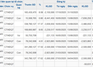 Amid Novaland’s Stock Recovery, Chairman’s Wife Sells 2.3 Million Shares, Pocketing Over VND 23 Billion