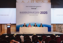 Vietcap Unveils Strategic Plan: Private Placement, Singapore Subsidiary Launch, and Withdrawal from Digital Asset Exchange Project