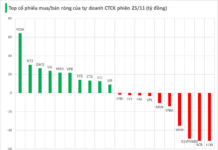 Proprietary Traders Unexpectedly Inject Capital to Scoop Up Plummeting Stock on November 25th