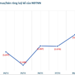 Foreign Block Selling Cools Down in Late November, Contrasting with Over 600 Billion VND Inflow to Acquire a Single Stock