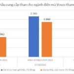 New Contender in the Coal Supply Race: Vosco Competes for Over 2 Trillion VND in Tender Packages