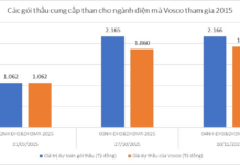 New Contender in the Coal Supply Race: Vosco Competes for Over 2 Trillion VND in Tender Packages