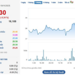 Textile Firm Shareholders Set to Receive Over Hundred Billion VND in Dividends This December