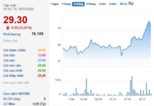 Textile Firm Shareholders Set to Receive Over Hundred Billion VND in Dividends This December