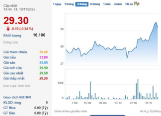Textile Firm Shareholders Set to Receive Over Hundred Billion VND in Dividends This December