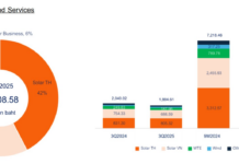 Thailand’s Renewable Energy Giant Rakes in Over $90 Million in Vietnam in Just 9 Months