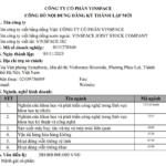 Billionaire Pham Nhat Vuong and His Two Sons Establish Vinspace, a New Aerospace and Space Company