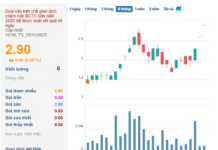 Before Vingroup’s Lifeline: Pomina Steel’s Plunge into Deep Losses, Negative Equity, and Accumulated Deficit of Over 3 Trillion VND