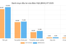 State-Owned ‘Shark’s’ $10 Billion Portfolio: Over $1 Billion in Corporate Bonds, Equity Investments in ACB, VNM, CTG