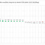 November 12th Session: Brokerage Proprietary Traders Unexpectedly Net Buy VND 500 Billion in Gelex Group Stocks, Contrasting Heavy Selling in a Major Bank Stock