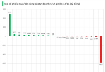 November 12th Session: Brokerage Proprietary Traders Unexpectedly Net Buy VND 500 Billion in Gelex Group Stocks, Contrasting Heavy Selling in a Major Bank Stock