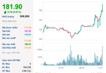 “Diamond in the Rough”: Nguyen Dang Quang’s Stock Surges to Historic High, Nearly Doubling to $8.3 Billion in Three Months