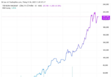 Vingroup Doubles Charter Capital to 77 Trillion VND, Stock Price ‘Splits’ to 100,000 VND Level: What’s Next?