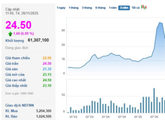 Brokerage Firm’s Stock Surges to Upper Limit Ahead of Extraordinary Shareholder Meeting