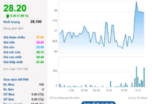 Automotive Company to Finalize Shareholder List for 30% Cash Dividend Tomorrow