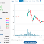 Vinpearl Merges VND 1,000 Billion Subsidiary into VinWonders Nha Trang Less Than 3 Months After Establishment