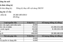 THACO Announces ₫120 Billion Capital Reduction, Prepares for ₫10.13 Trillion Capital Increase