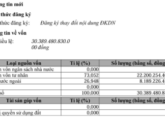 THACO Announces â‚«120 Billion Capital Reduction, Prepares for â‚«10.13 Trillion Capital Increase