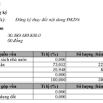 THACO Unexpectedly Reduces Charter Capital, Foreign Investors Unchanged