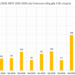 Coteccons Construction (CTD) Reports Highest Quarterly Profit in 7 Years After Two Consecutive Sessions of Stock Surging to Ceiling